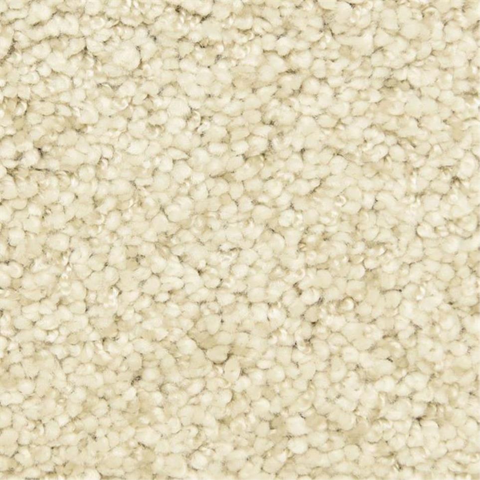 Casual Texture Enlightenment Beige/Tan Carpet