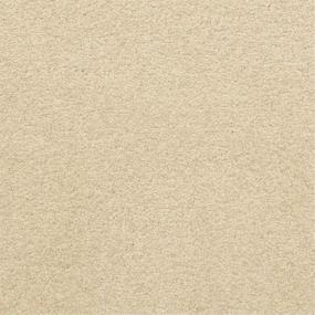 Casual Texture Ashford Beige/Tan Carpet