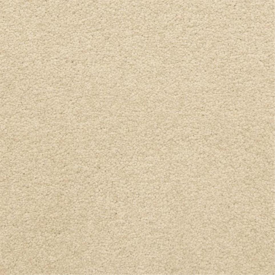 Casual Texture Ashford Beige/Tan Carpet