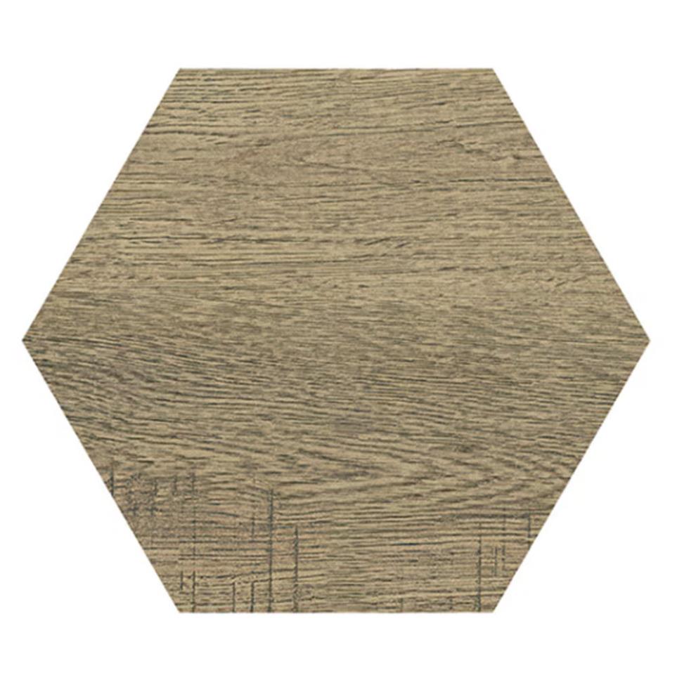 Tile Chariot Matte Medium Finish Tile