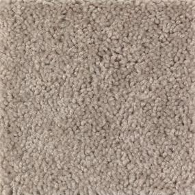 Textured Saxony Blissful Beige/Tan Carpet