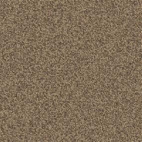 Pattern Maple Syrup Beige/Tan Carpet