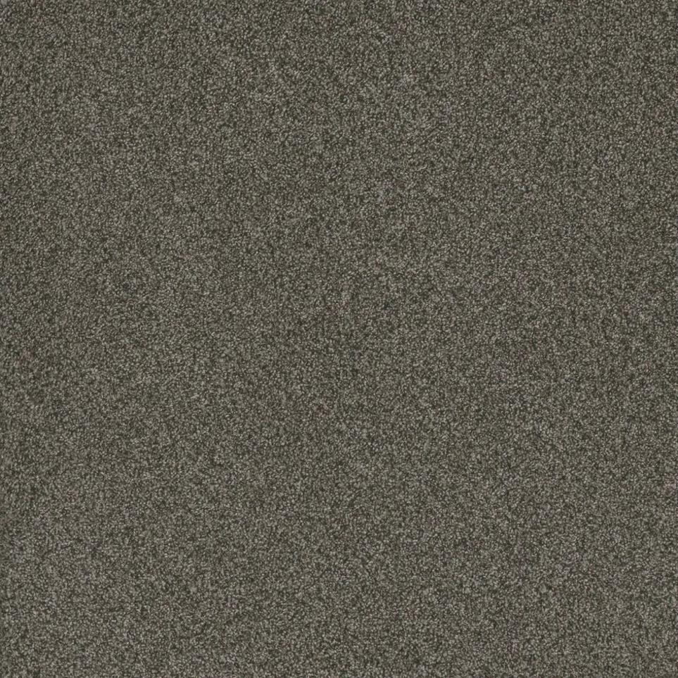 Texture Cromwell Brown Carpet