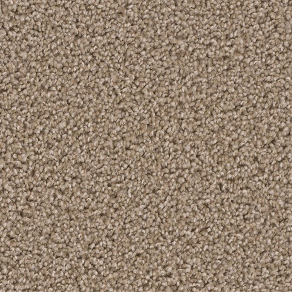 Textured Saxony Bold Hope Brown Carpet