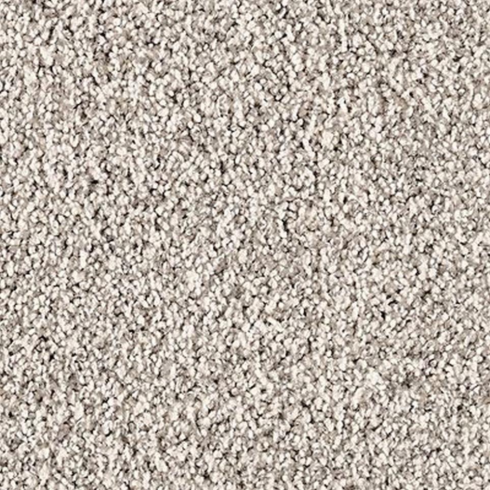Textured Saxony Refined Gray Carpet