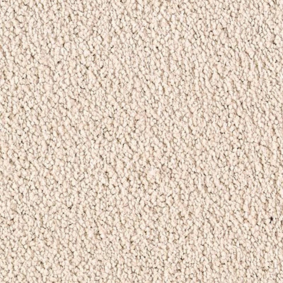 Cut Pile Silk Canvas Beige/Tan Carpet