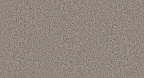 Textured Saxony Iron Hues Beige/Tan Carpet