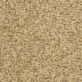 Textured Saxony Stone Works Beige/Tan Carpet