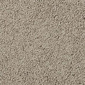 Textured Saxony Villa Mare Brown Carpet