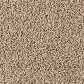 Textured Saxony Irish Linen Beige/Tan Carpet