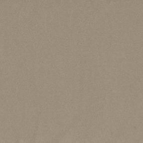 Textured Saxony Beach Front Brown Carpet