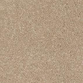 Texture Beach Front Brown Carpet