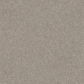 Casual Texture Winterwood Beach Beige/Tan Carpet