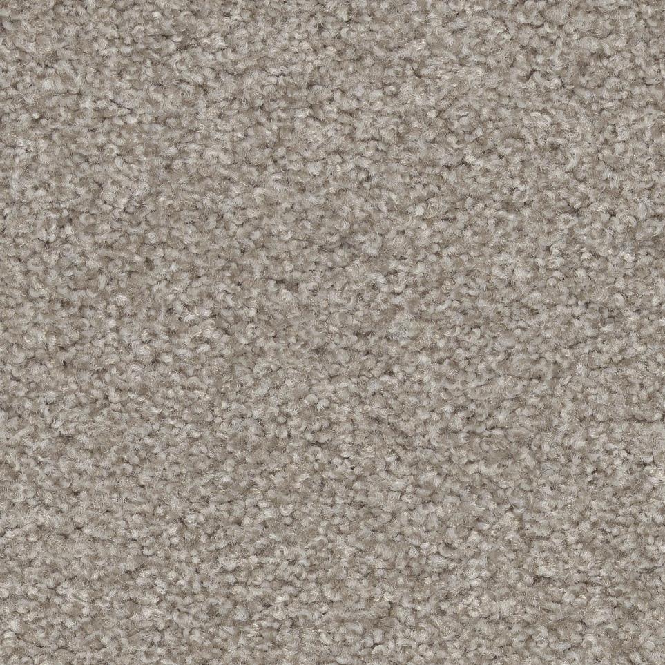 Frieze Winterwood Beach Beige/Tan Carpet