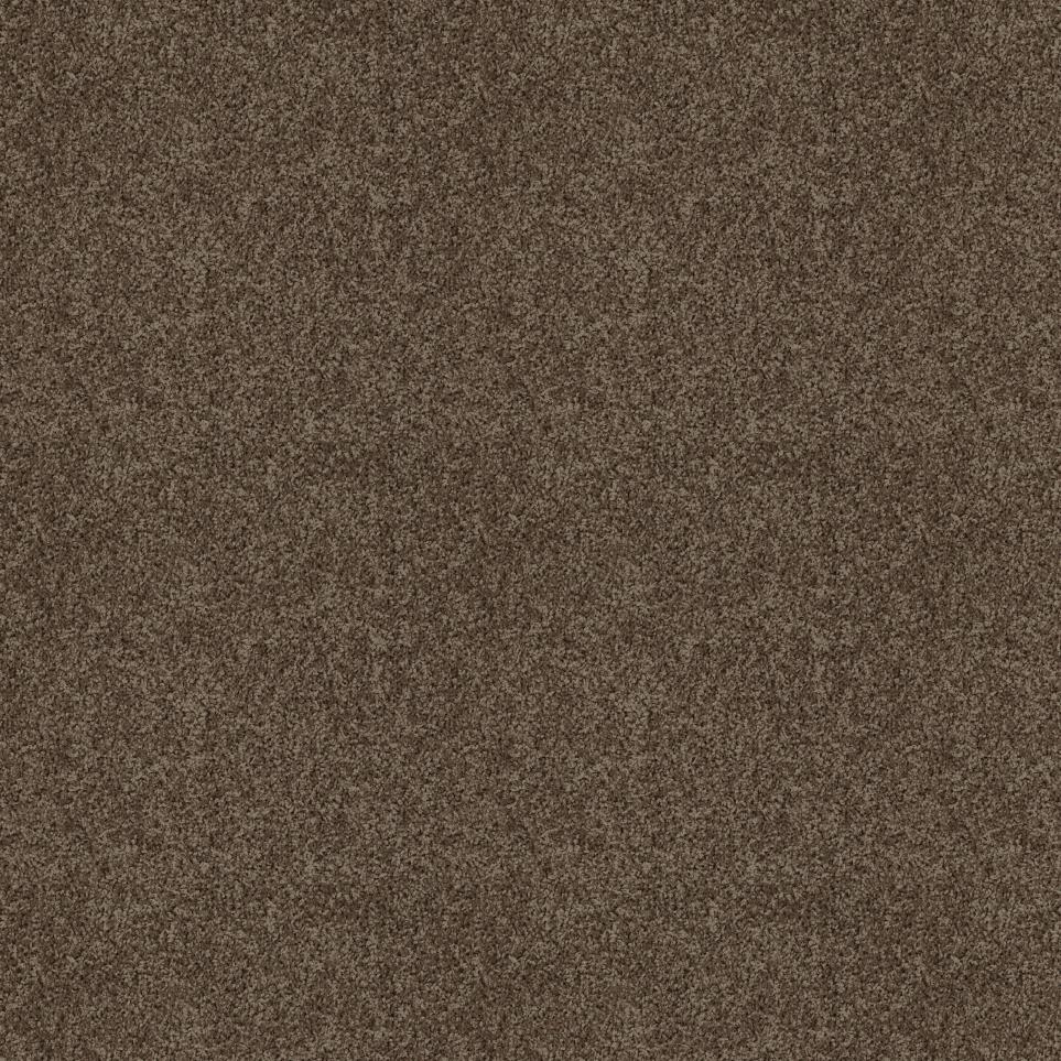 Texture Dockside Brown Carpet
