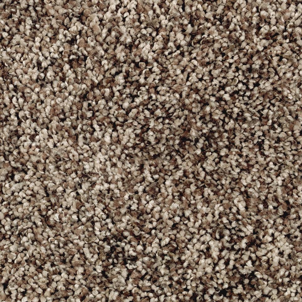 Texture Harvest Brown Brown Carpet