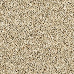 Textured Saxony ISLAND BREEZE Beige/Tan Carpet