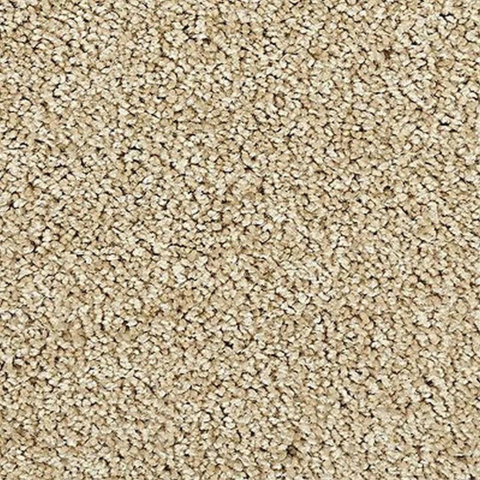 Textured Saxony ISLAND BREEZE Beige/Tan Carpet