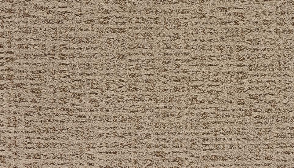 Pattern Natural Husk Brown Carpet