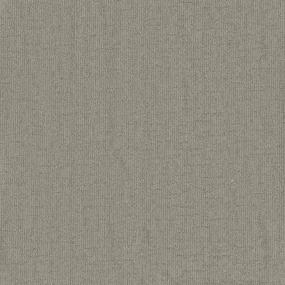 Pattern Runnerup Gray Carpet