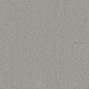 Textured Saxony Max Gray Carpet