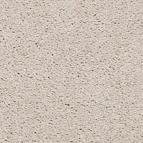 Textured Saxony Meaningful Beige/Tan Carpet