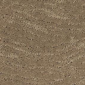 Pattern Passageway Beige/Tan Carpet