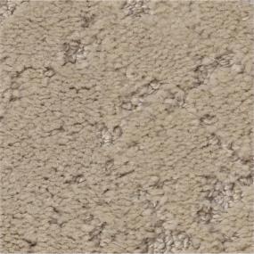 Pattern Basketry Beige/Tan Carpet