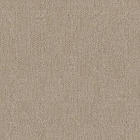 Pattern Wishful Beige/Tan Carpet