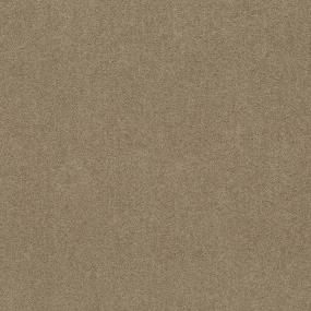 Textured Saxony Rich Earth Beige/Tan Carpet