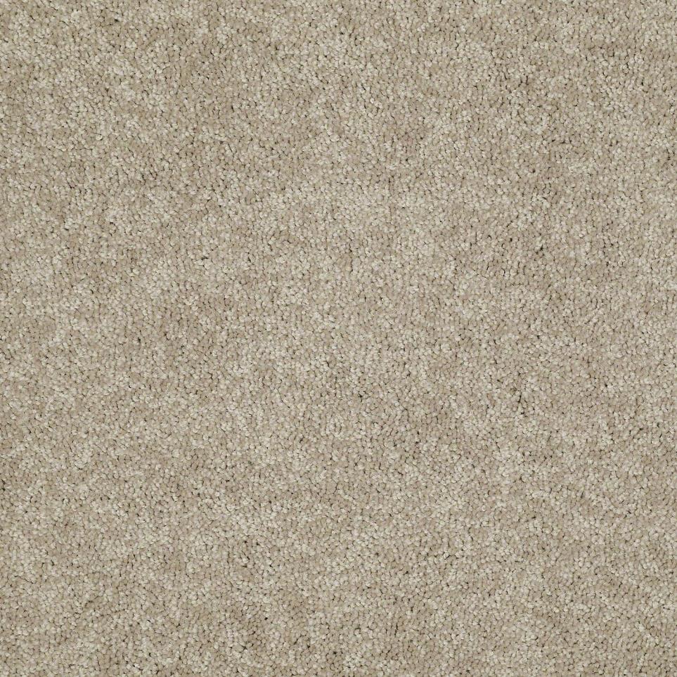 Textured Saxony Rich Earth Beige/Tan Carpet