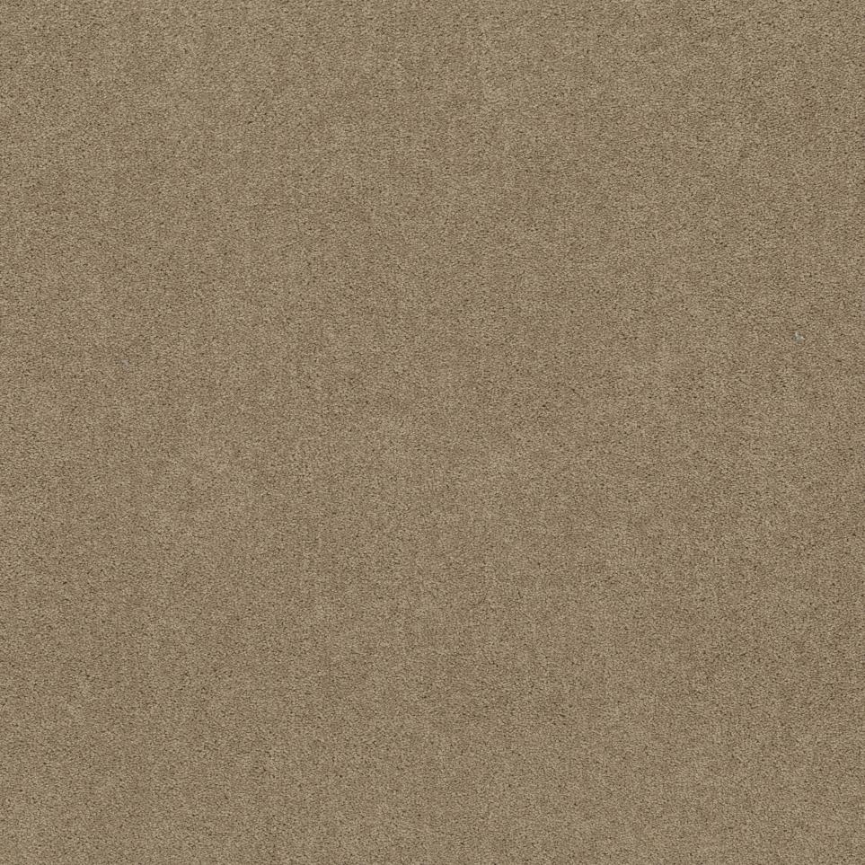 Textured Saxony Rich Earth Beige/Tan Carpet