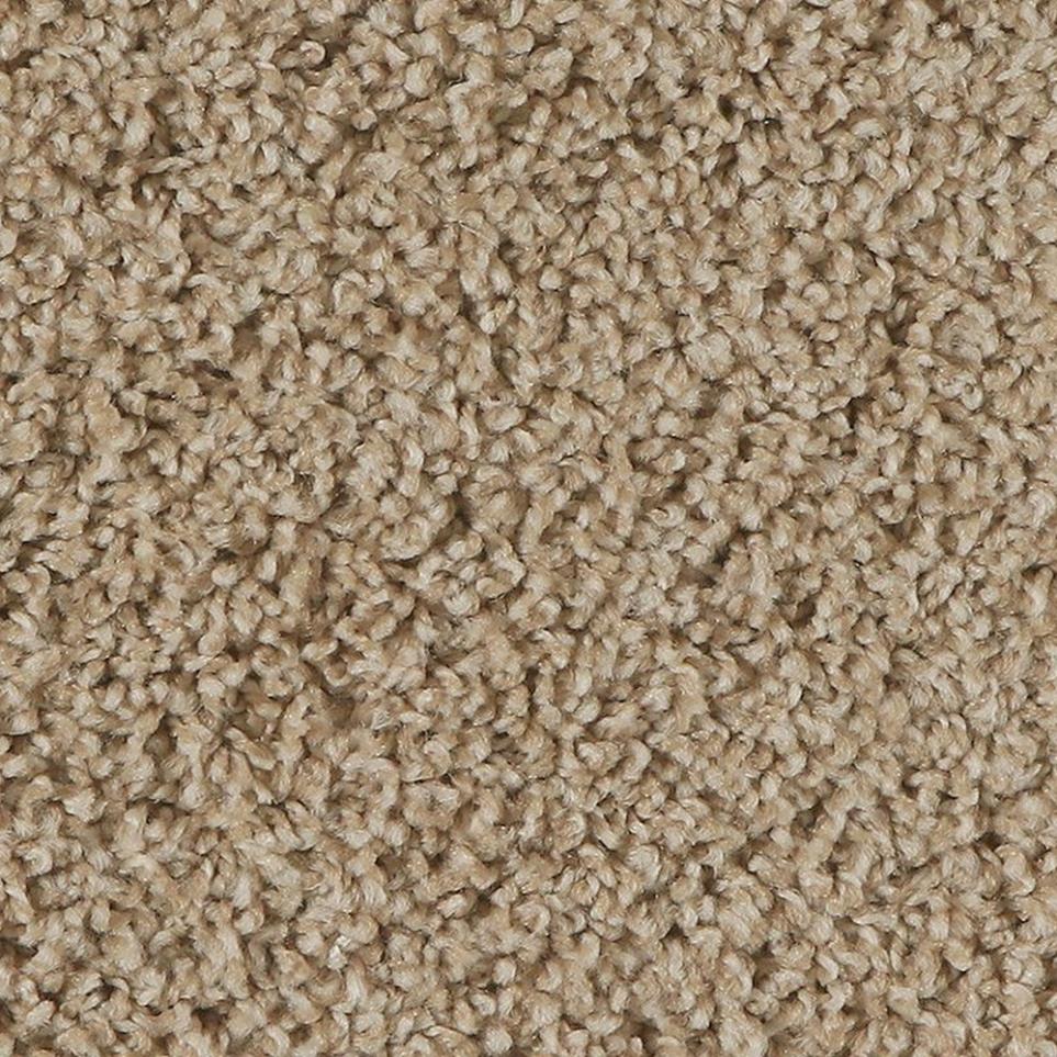 Textured Saxony Palomino Beige/Tan Carpet