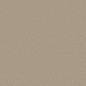 Texture Explorer Beige/Tan Carpet