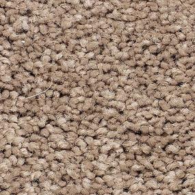 Berber Hickory Tan Beige/Tan Carpet
