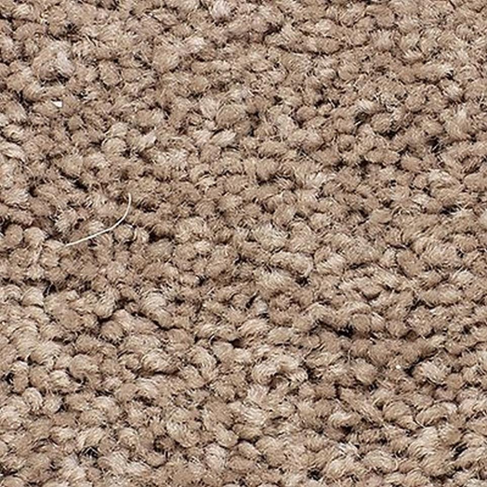 Berber Hickory Tan Beige/Tan Carpet