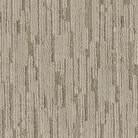 Pattern Whiskers Beige/Tan Carpet
