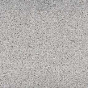 Textured Saxony Stately Gray Carpet