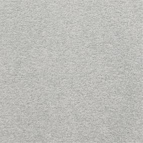 Casual Texture Wonder Gray Carpet