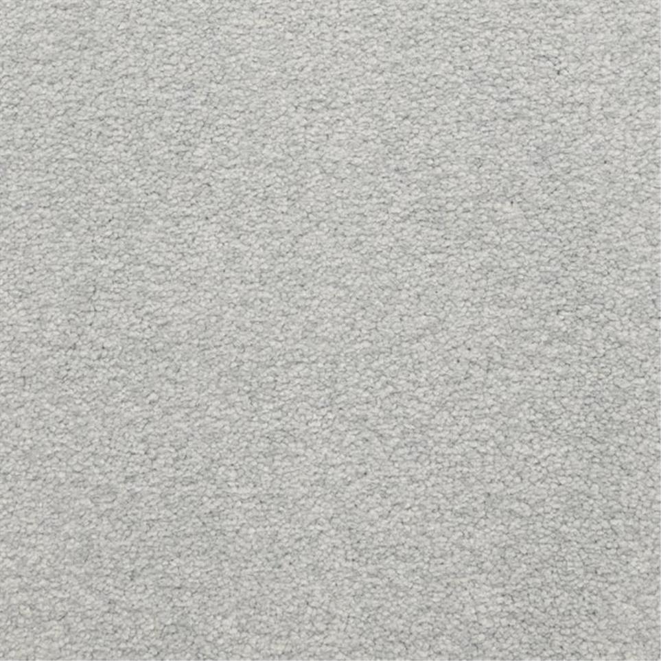 Casual Texture Wonder Gray Carpet