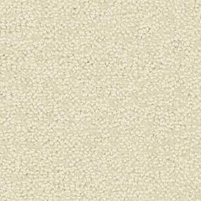 Pattern Warm Sand Beige/Tan Carpet