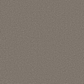 Texture Nut Shell Gray Carpet