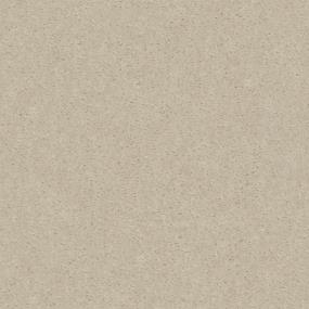 Textured Saxony Honey Glaze White Carpet