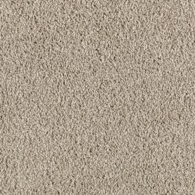 Textured Saxony Rich Earth Beige/Tan Carpet