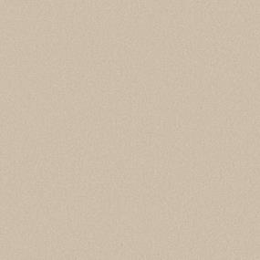 Textured Saxony Pumice Beige/Tan Carpet
