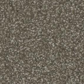 Textured Saxony Gallant Beige/Tan Carpet