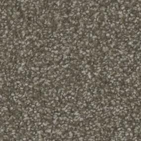 Texture Gallant Beige/Tan Carpet
