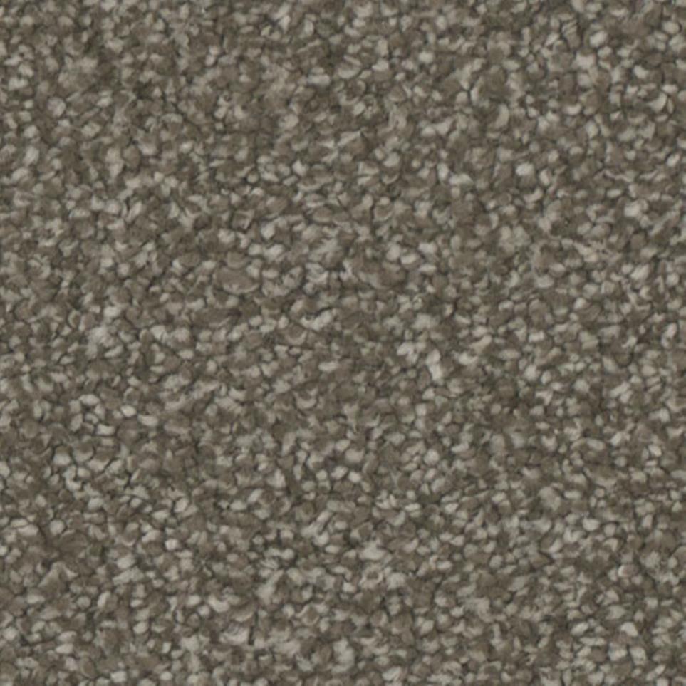 Textured Saxony Gallant Beige/Tan Carpet