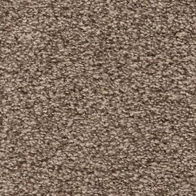 Textured Saxony Gilded Beige/Tan Carpet