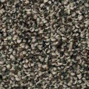 Textured Saxony UNIVERSAL UMBER Brown Carpet